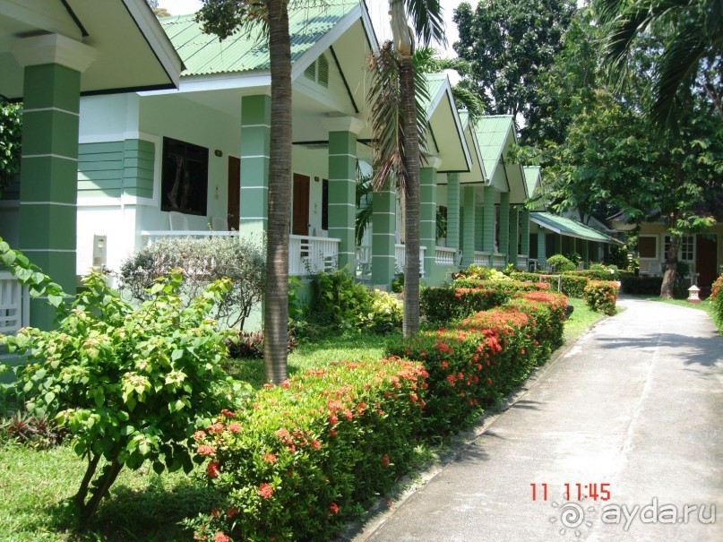 "Паттайская" осень 2013