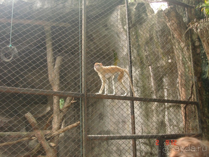 "Паттайская" осень 2013