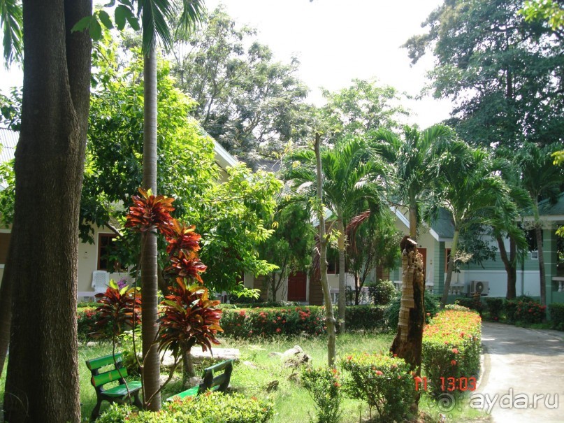 "Паттайская" осень 2013