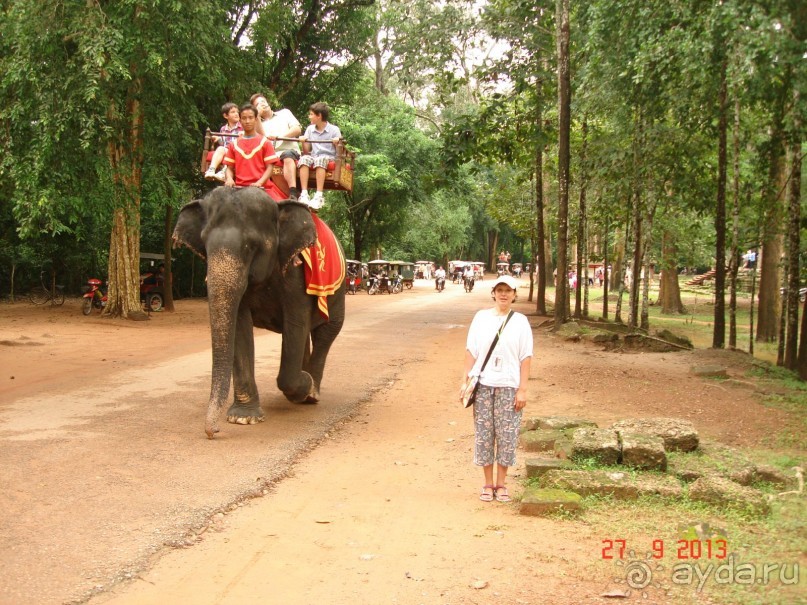 "Паттайская" осень 2013