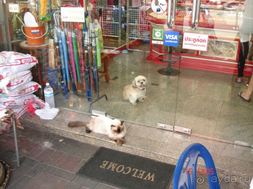 "Паттайская" осень 2013