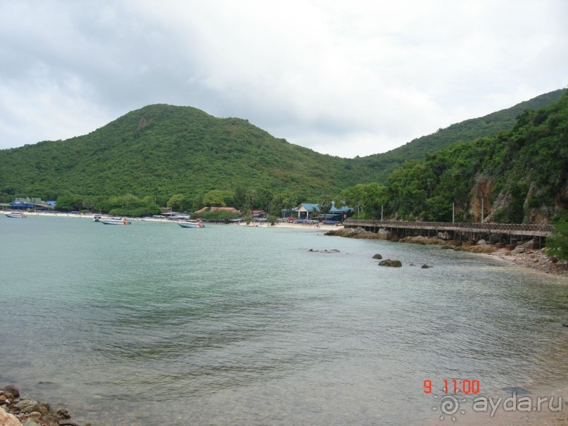 "Паттайская" осень 2013