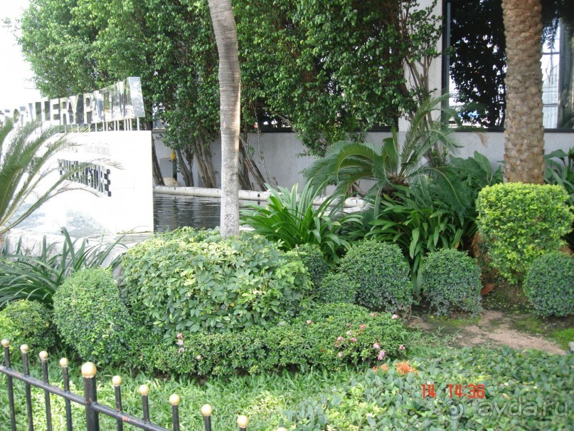 "Паттайская" осень 2013