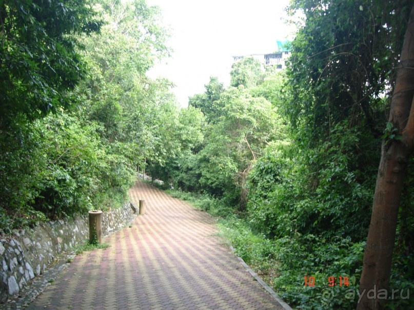 "Паттайская" осень 2013