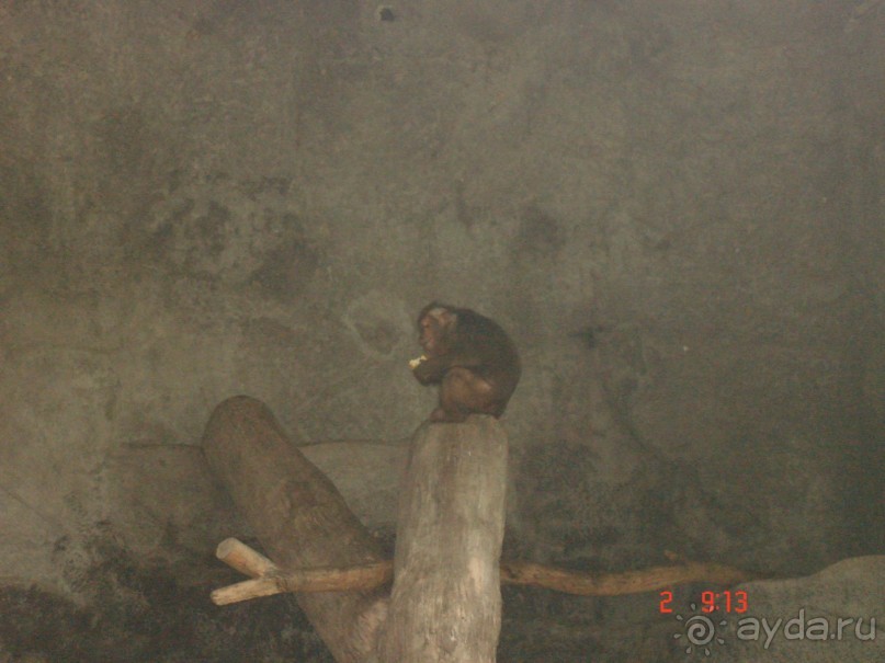 "Паттайская" осень 2013