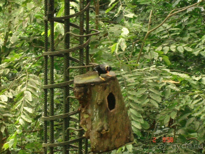 "Паттайская" осень 2013