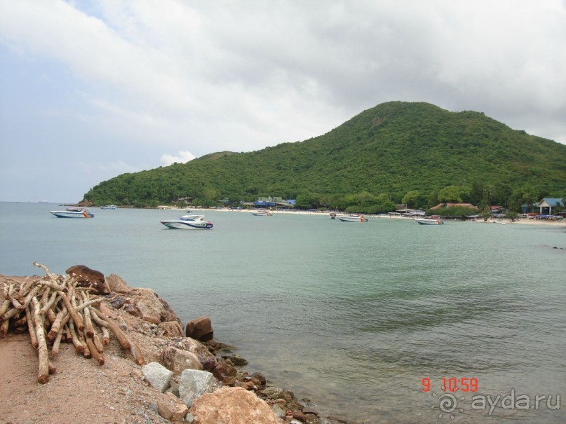 "Паттайская" осень 2013