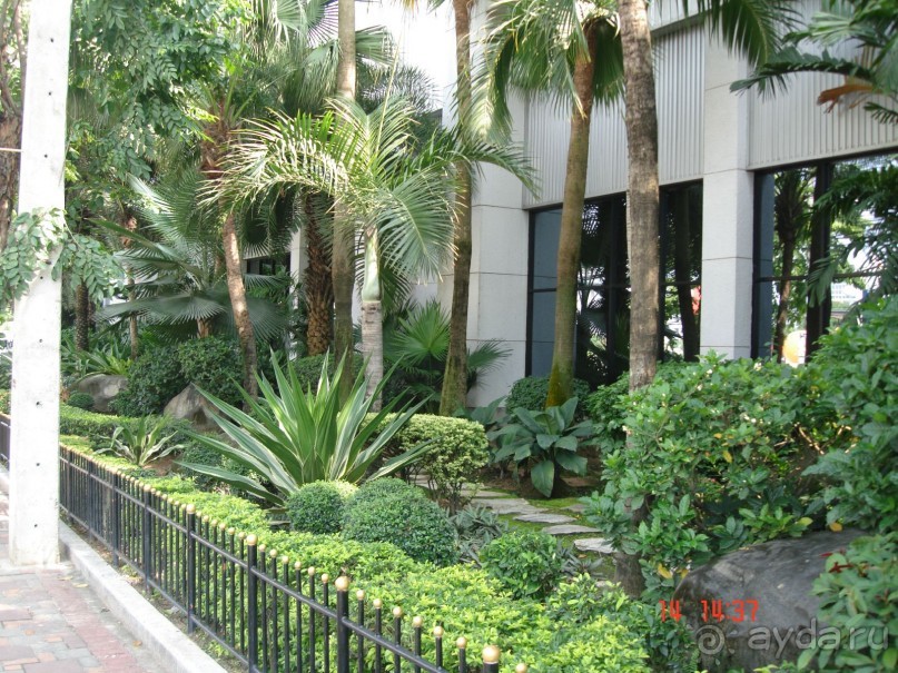 "Паттайская" осень 2013