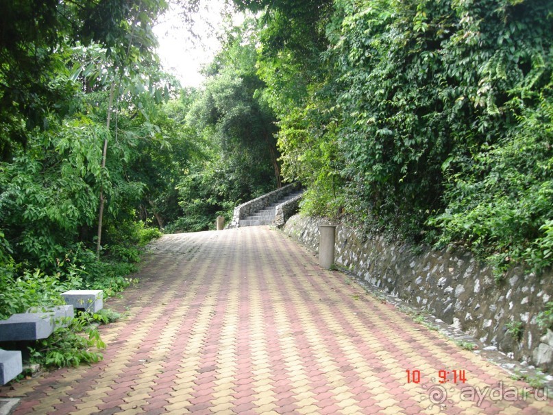 "Паттайская" осень 2013