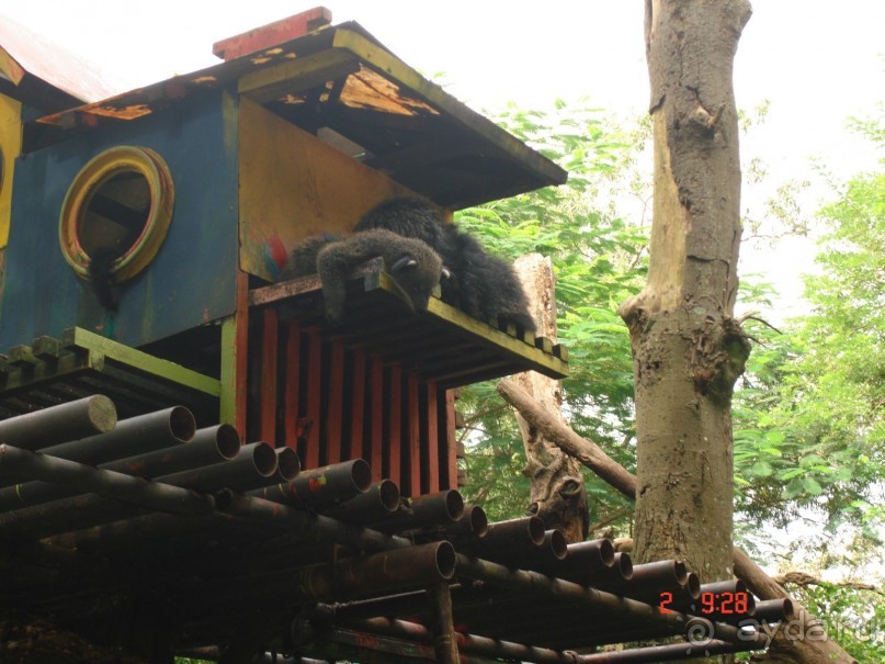 "Паттайская" осень 2013