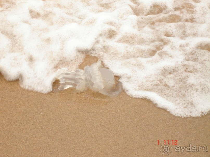 "Паттайская" осень 2013