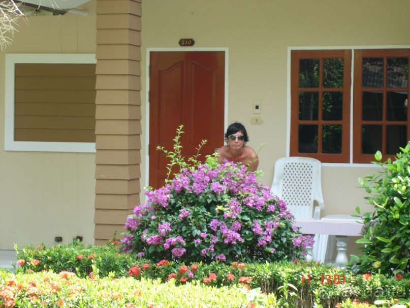 "Паттайская" осень 2013