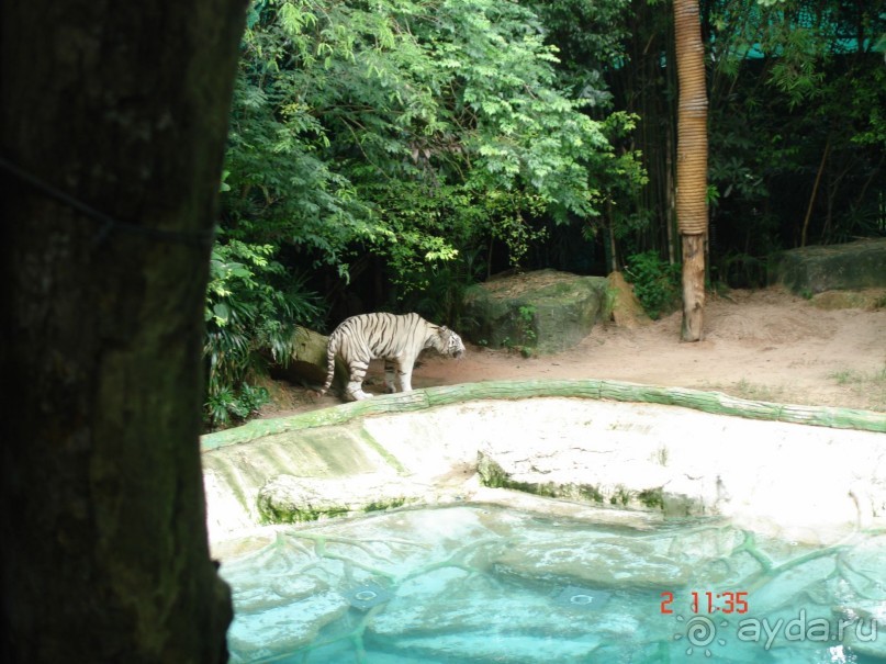 "Паттайская" осень 2013