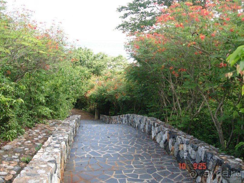 "Паттайская" осень 2013