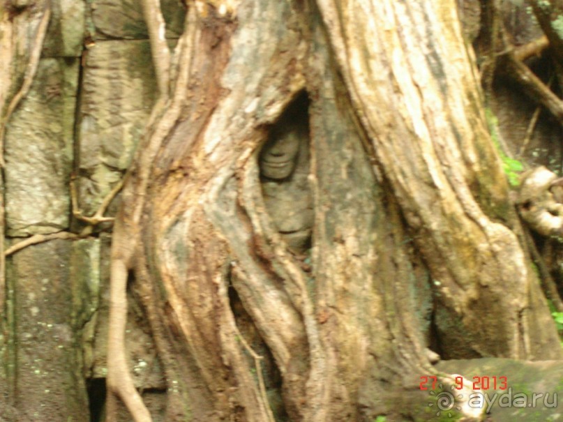 "Паттайская" осень 2013