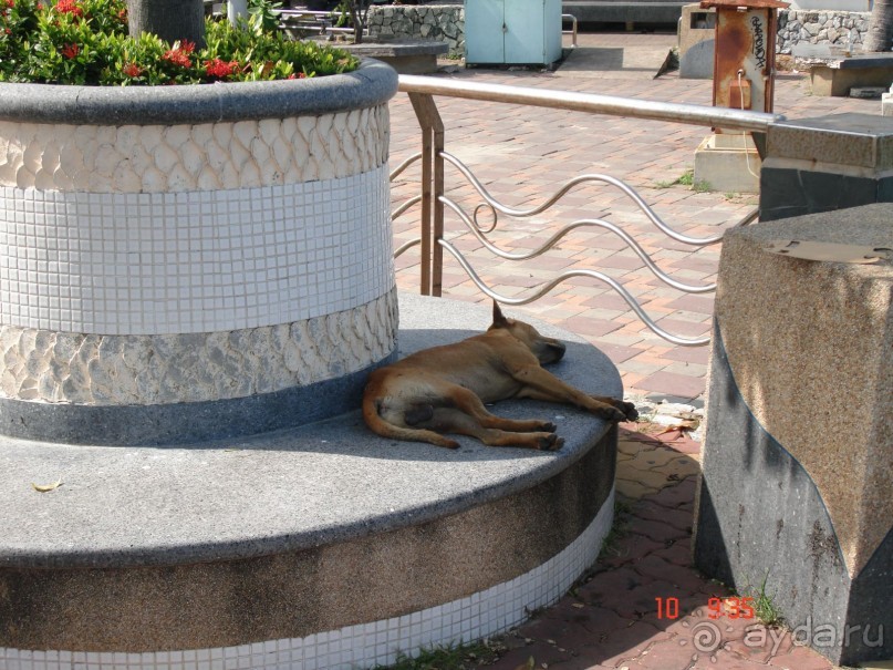 "Паттайская" осень 2013