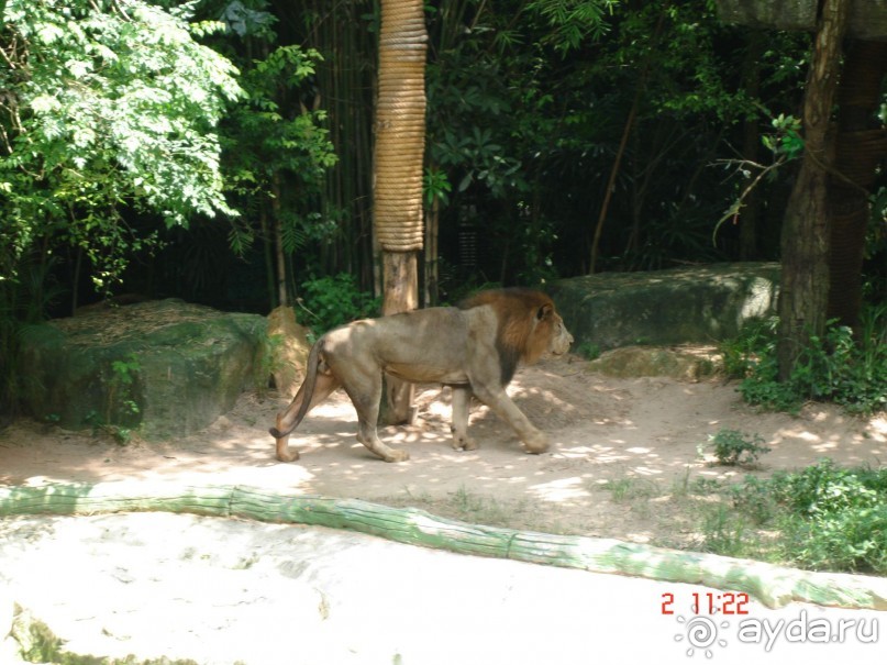 "Паттайская" осень 2013