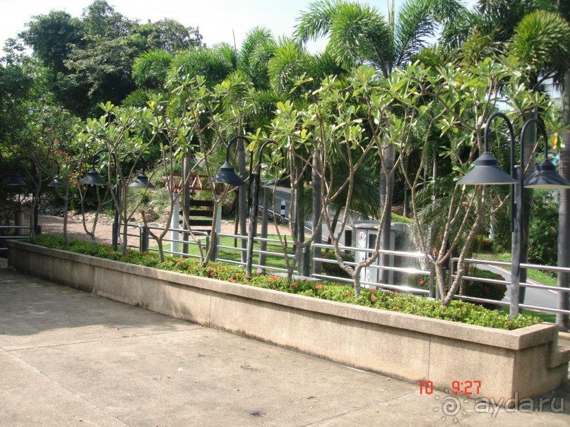 "Паттайская" осень 2013