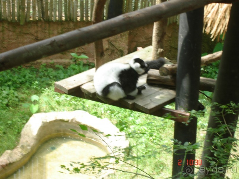 "Паттайская" осень 2013