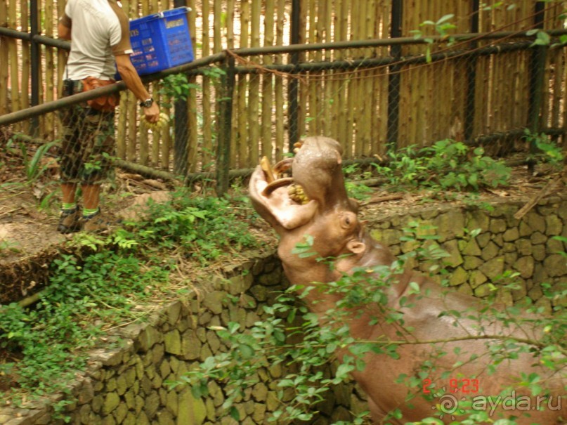 "Паттайская" осень 2013