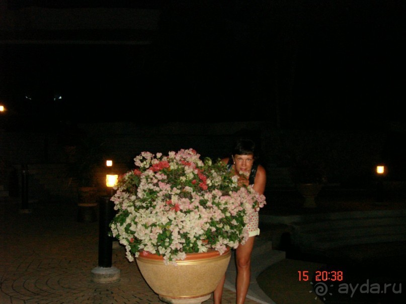 "Паттайская" осень 2013