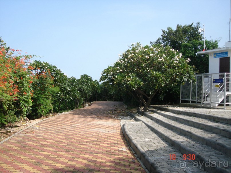 "Паттайская" осень 2013