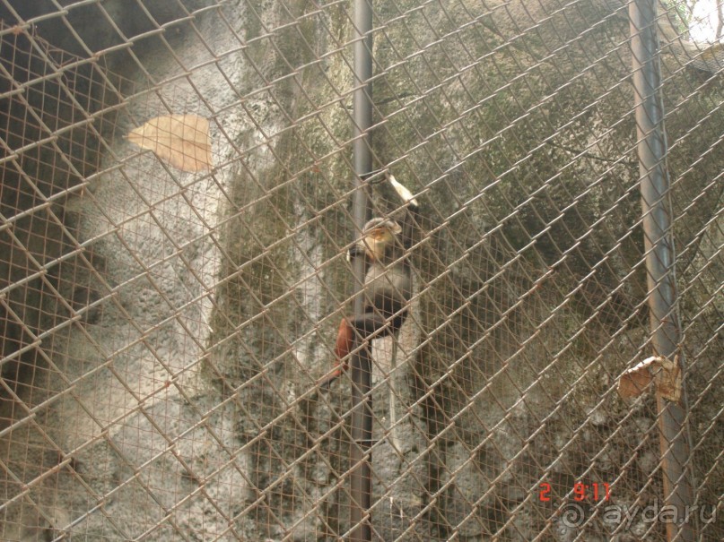 "Паттайская" осень 2013