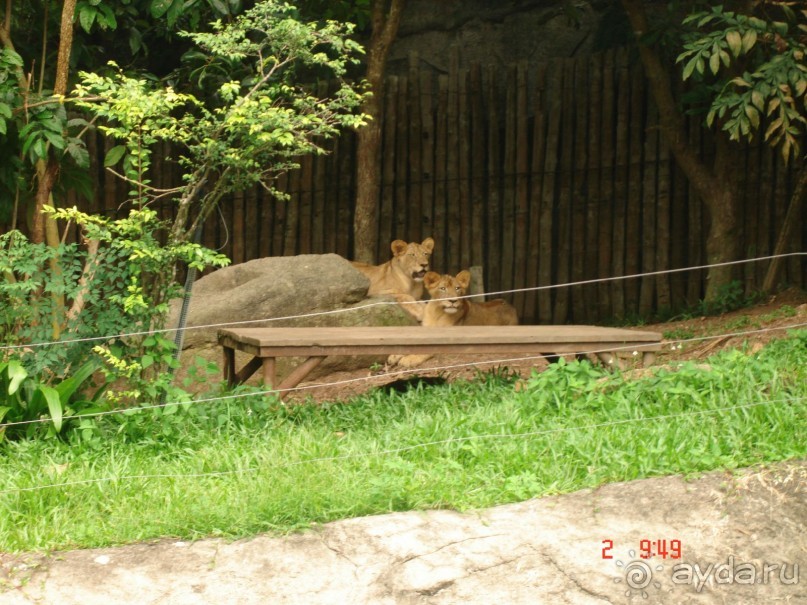 "Паттайская" осень 2013