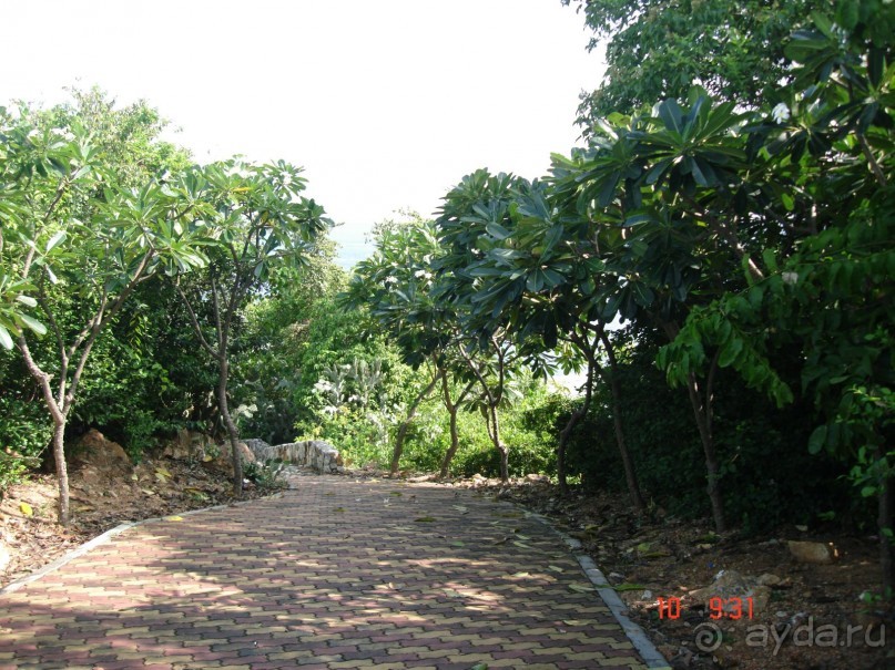 "Паттайская" осень 2013