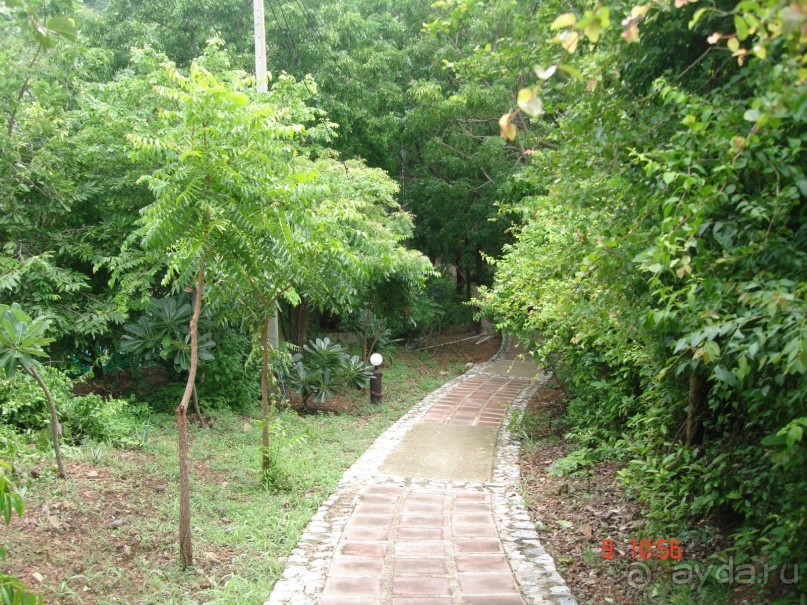 "Паттайская" осень 2013