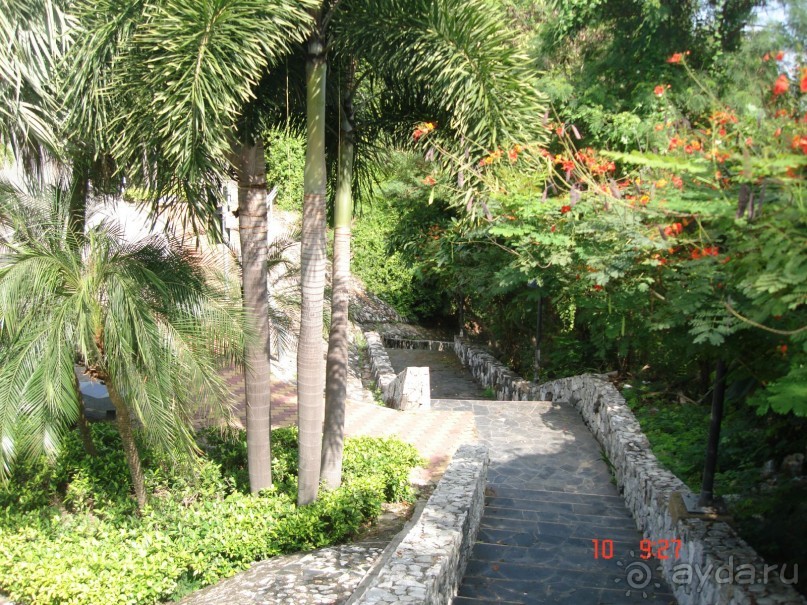 "Паттайская" осень 2013