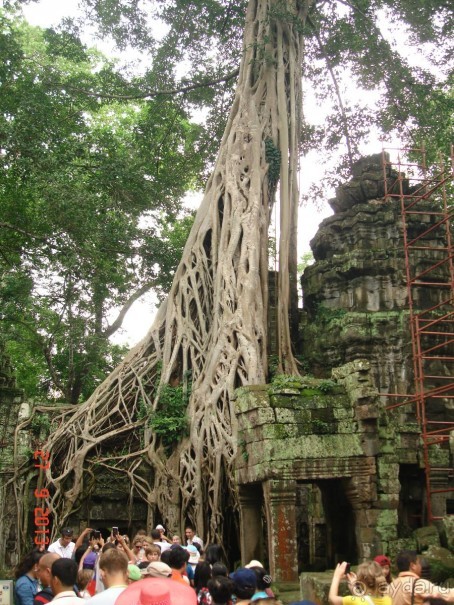 "Паттайская" осень 2013