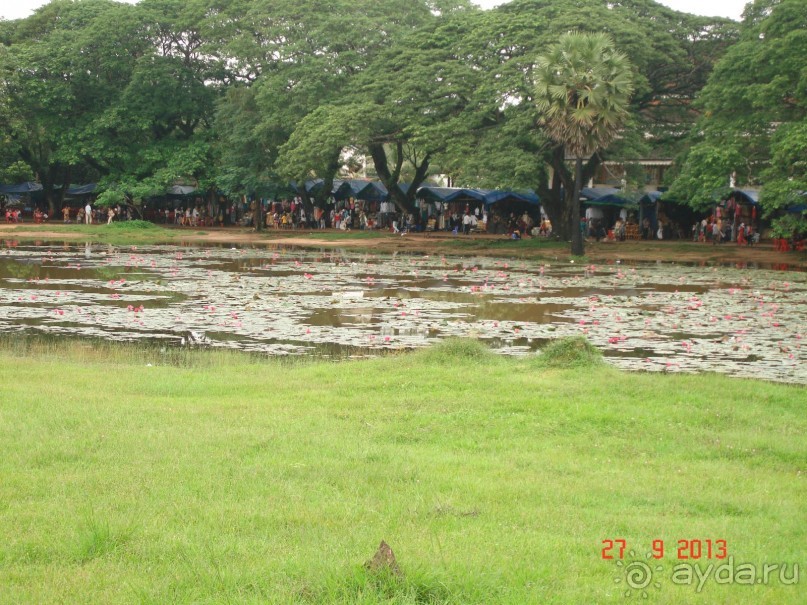 "Паттайская" осень 2013