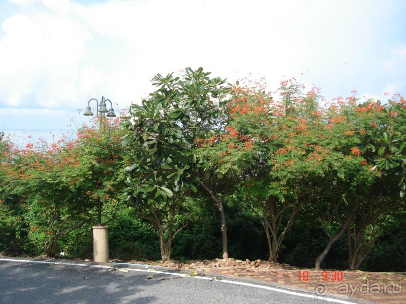 "Паттайская" осень 2013