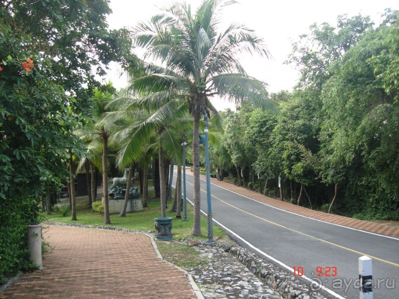 "Паттайская" осень 2013