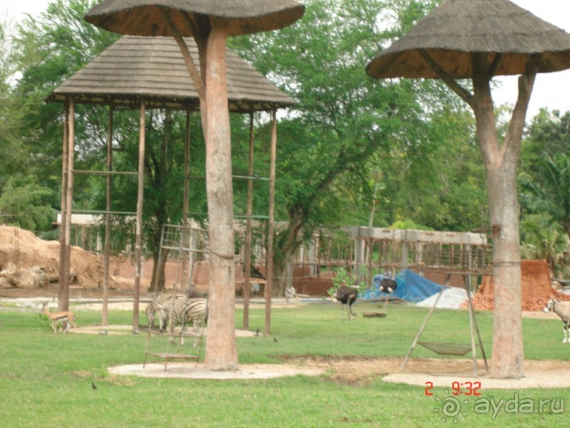 "Паттайская" осень 2013