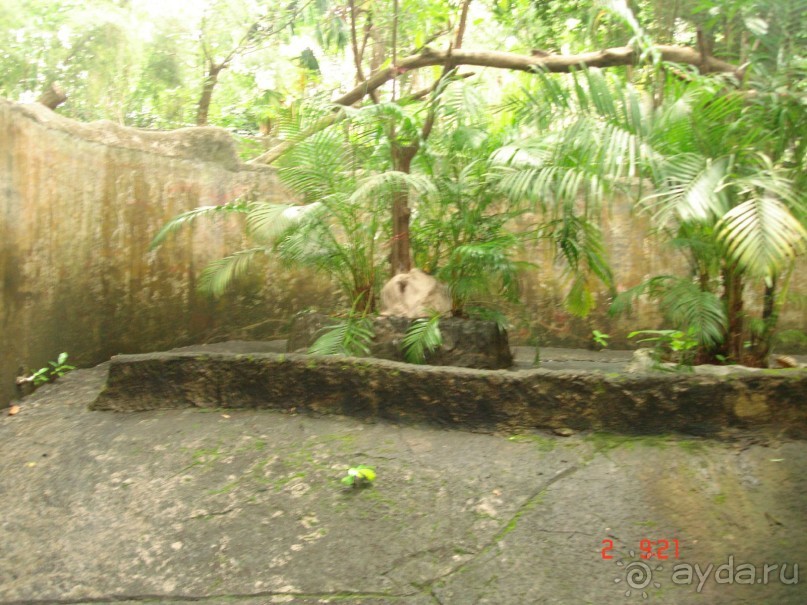 "Паттайская" осень 2013