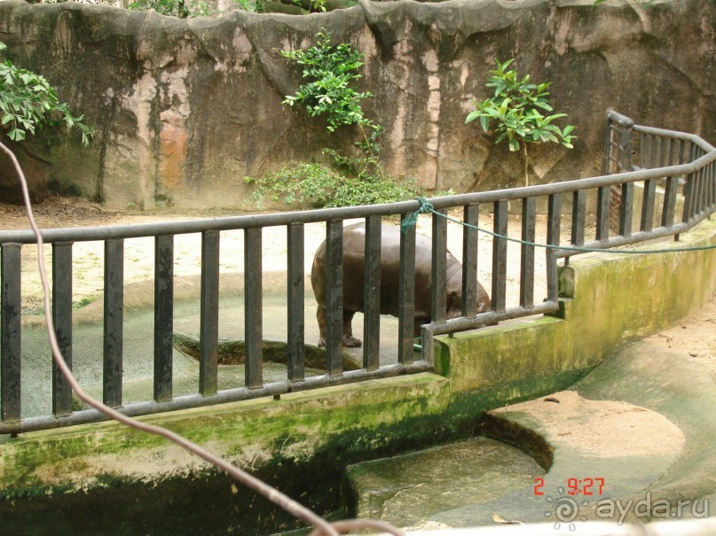 "Паттайская" осень 2013