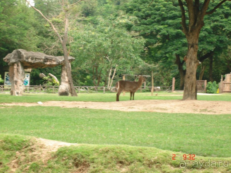 "Паттайская" осень 2013