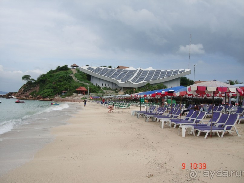 "Паттайская" осень 2013