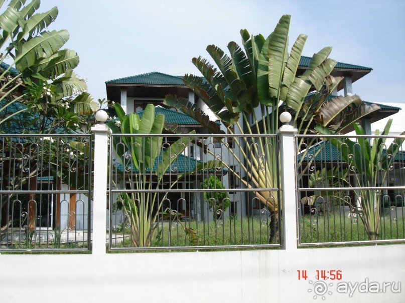 "Паттайская" осень 2013