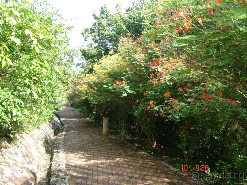 "Паттайская" осень 2013