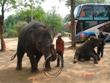 Поездка в Тай 5!!!