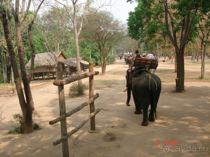 Поездка в Тай 5!!!