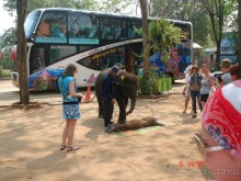 Поездка в Тай 5!!!