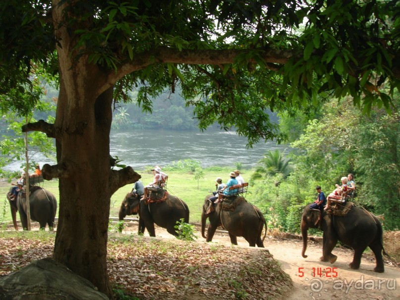 Поездка в Тай 5!!!