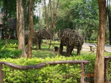 Поездка в Тай 5!!!