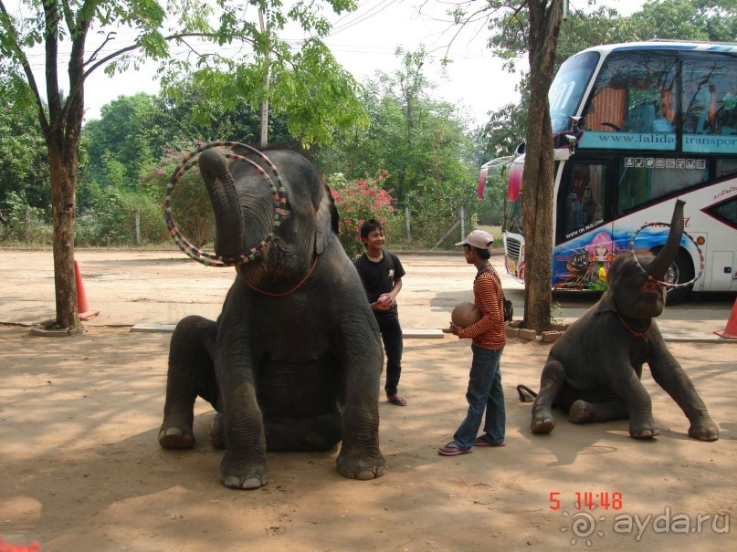 Поездка в Тай 5!!!