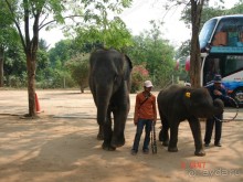 Поездка в Тай 5!!!