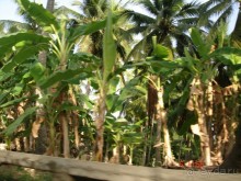 Поездка в Тай 5!!!